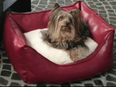 Canapé aspect cuir pour chien