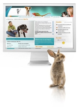 Chezmonveto.com, créateur de sites web pour vétérinaires