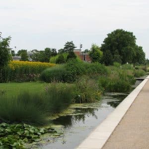 Le parc de gerland pour son calme